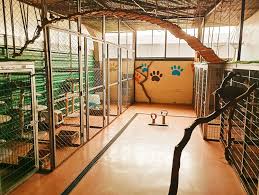 espacio de estudio de la academia